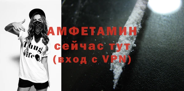 индика Беломорск