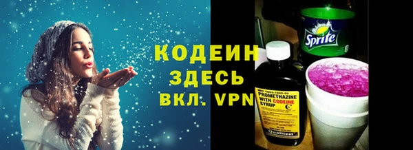 индика Беломорск