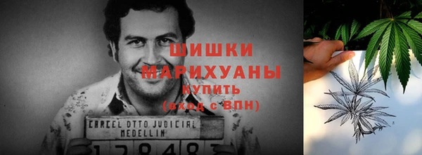 индика Беломорск