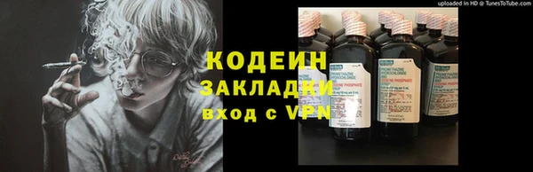 индика Беломорск