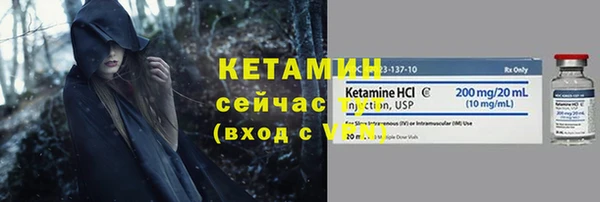 индика Беломорск
