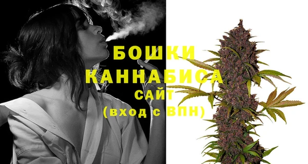 ГАЛЛЮЦИНОГЕННЫЕ ГРИБЫ Белокуриха